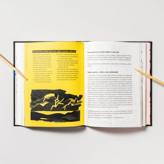 Jak vidět neviditelné – Průvodce krajinou představivosti a kreativity