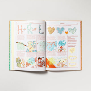 Myko – Kompletní zpravodaj ze světa hub